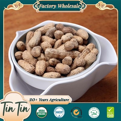 Premium Fil-Karawett Fil-Qoxra Għal Ħajja Aħjar