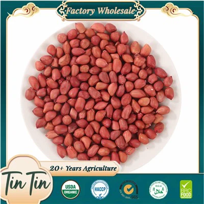 Best Quaility Red Skin Peanut Kernel 50/60